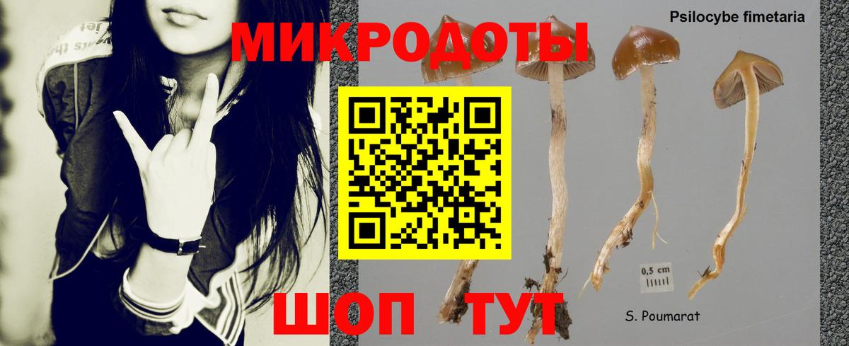 Вольск  Псилоцибиновые грибы Cubensis  Вход с VPN  Псилоцибиновые грибы прущие грибы 